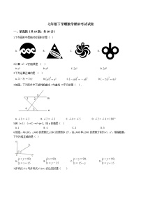 广西北海市七年级下学期数学期末考试试卷