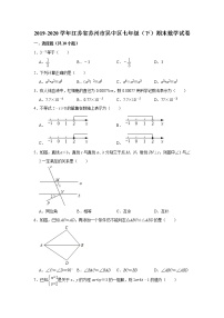 江苏省苏州市吴中区2019-2020学年第二学期七年级期末考试数学试卷 解析版