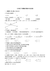 辽宁省大连市七年级下学期数学期末考试试卷