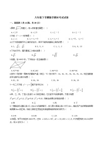 广西壮族自治区八年级下学期数学期末考试试卷