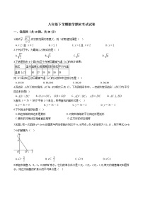 河南省焦作市八年级下学期数学期末考试试卷