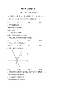 2020-2021学年七年级数学沪教版（上海）下册期中复习检测试卷