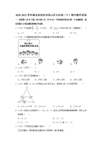 湖北省武汉市洪山区2020-2021学年七年级下学期期中数学试卷（word版 含答案）