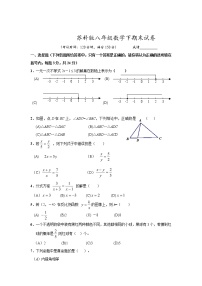 苏科版八年级数学下册期末考试数学试题18