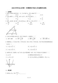 2021年上海市宝山区中考数学一模卷(配答案)