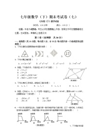 北师大版七年级下册数学期末试卷及答案 (7)