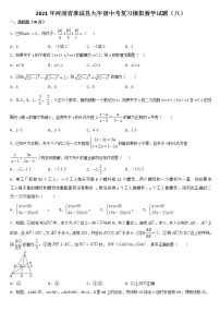 2021年河南省淮滨县九年级中考复习模拟数学试题（八）