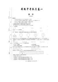 2021年安徽中考模拟数学试题