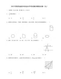 2021年陕西省初中学业水平考试数学模拟试卷（九）含答案