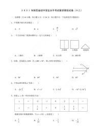 2021年陕西省初中学业水平考试数学模拟试卷（十二）含答案