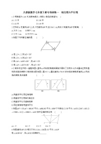 人教版七年级下册第五章 相交线与平行线综合与测试巩固练习