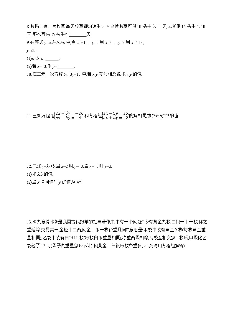 人教版数学七年级下册专项训练四　二元一次方程组02