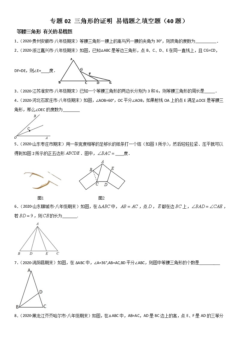 专题02 三角形的证明 易错题之填空题（40题）八年级数学下册同步易错题精讲精练（北师大版）（原卷版）01