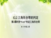 人教版八年级数学上册 第十二章 全等三角形 12.2 全等三角形的判定 第2课时 用“SAS”判定三角形全等 课件