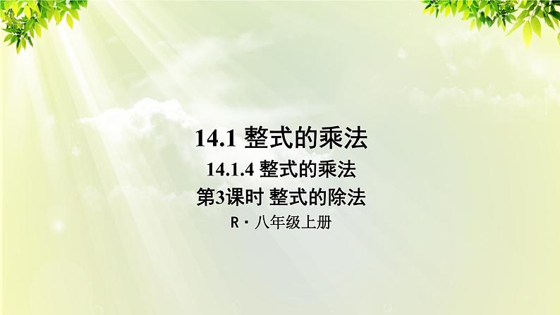 人教版八年级数学上册 第十四章 整式的乘法与因式分解 14.1.4 第3课时 整式的除法 课件01