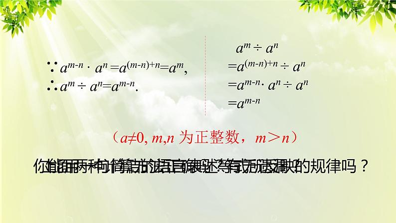 人教版八年级数学上册 第十四章 整式的乘法与因式分解 14.1.4 第3课时 整式的除法 课件07