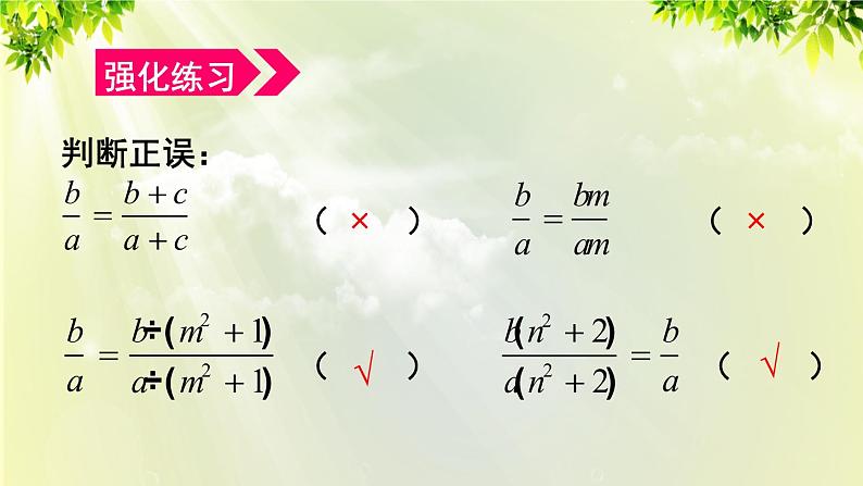 人教版八年级数学上册 第十五章 分式  15.1.2 分式的基本性质 课件08