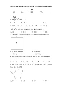 2021年河北省唐山市玉田县九年级下学期期中考试数学试题（一模）（word版含答案）