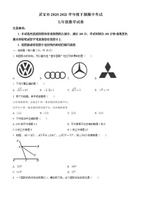 河南省三门峡市灵宝市2020-2021学年七年级下学期期中数学试题