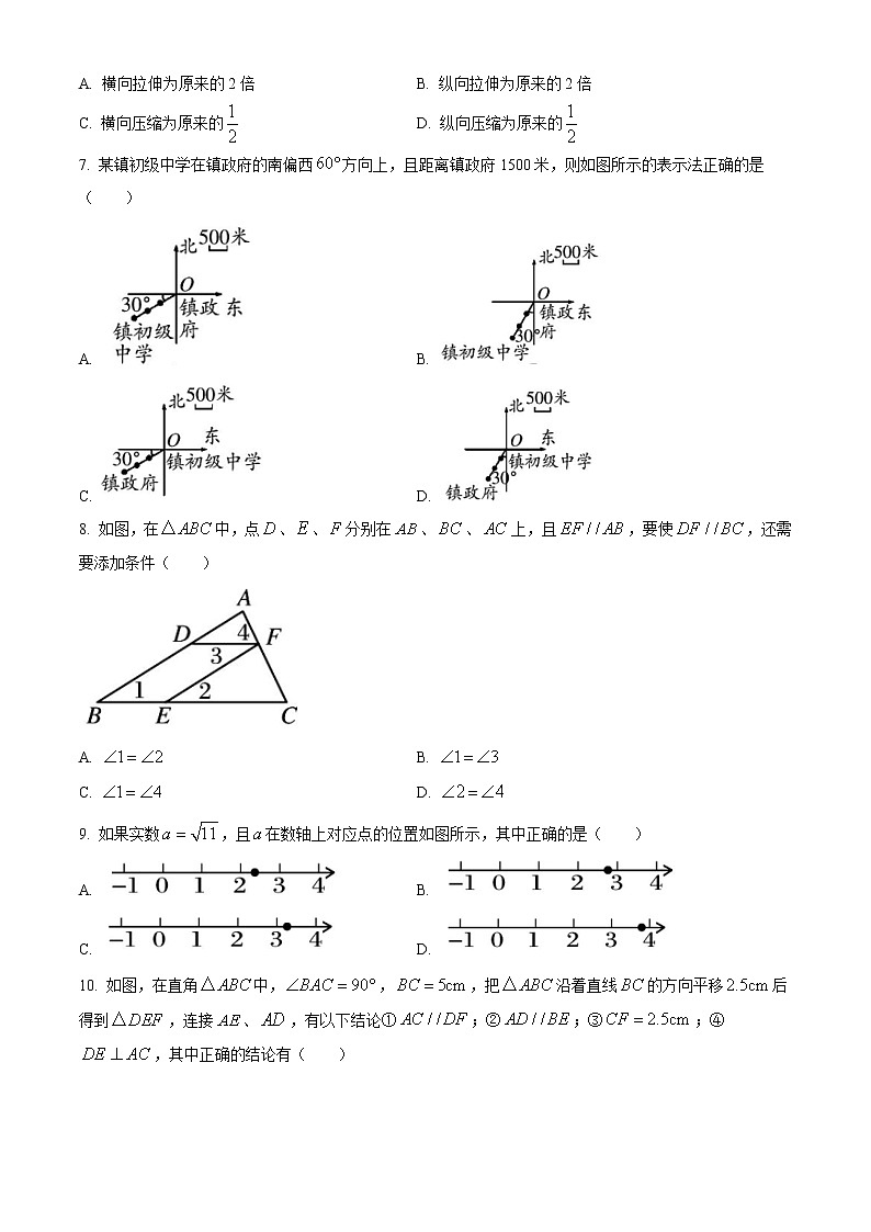河南省三门峡市灵宝市2020-2021学年七年级下学期期中数学试题02