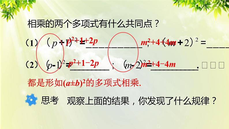 人教版八年级数学上册 第十四章 整式的乘法与因式分解 14.2.2 完全平方公式 课件05