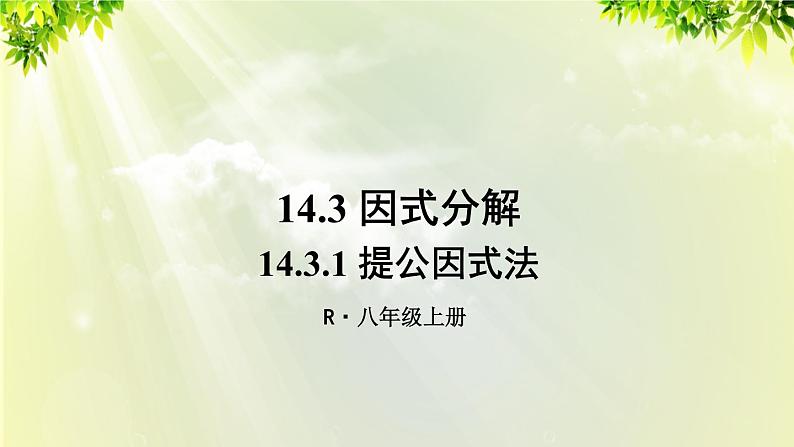 人教版八年级数学上册 第十四章 整式的乘法与因式分解  14.3.1 提公因式法课件01