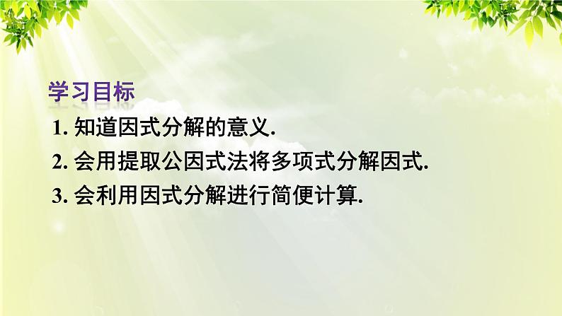 人教版八年级数学上册 第十四章 整式的乘法与因式分解  14.3.1 提公因式法课件03