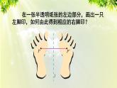人教版八年级数学上册 第十三章 轴对称 13.2 第1课时 作轴对称图形课件