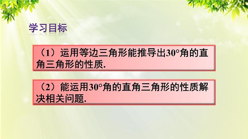 人教版八年级数学上册 第十三章 轴对称  13.3.2 第二课时 含30°角的直角三角形的性质课件03