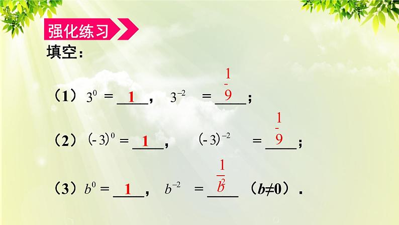 人教版八年级数学上册 第十五章 分式  15.2.3 第1课时 整数指数幂课件07