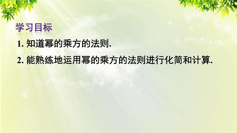 人教版八年级数学上册 第十四章 整式的乘法与因式分解  14.1.2 幂的乘方课件03