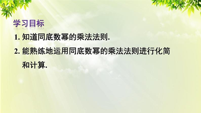 人教版八年级数学上册 第十四章 整式的乘法与因式分解  14.1.1 同底数幂的乘法课件03