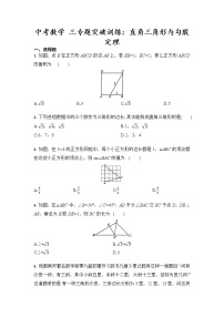 中考数学 三专题突破训练：直角三角形与勾股定理