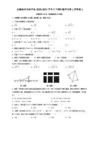 安徽省亳州市利辛县2020-2021学年八年级下学期期中考试数学试卷（含答案）