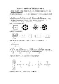 2021年广西柳州市中考模拟复习试卷十（含答案）