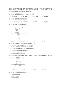 2018-2019学年安徽省阜阳市太和县七年级（下）期末数学试卷