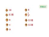 冀教版九年級(jí)上冊(cè)數(shù)學(xué)課件 第28章 28.5  弧長(zhǎng)和扇形面積的計(jì)算
