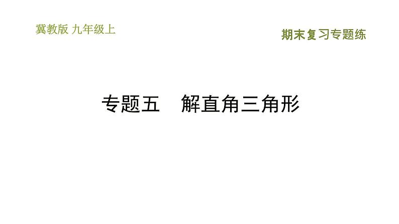 冀教版九年级上册数学课件 期末复习专题练 专题5　解直角三角形01