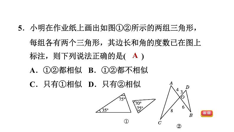 冀教版九年级上册数学课件 期末复习专题练 专题3　图形的相似(基础)08