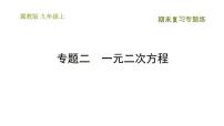 冀教版九年级上册数学课件 期末复习专题练 专题2　一元二次方程