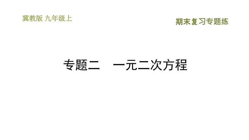 冀教版九年级上册数学课件 期末复习专题练 专题2　一元二次方程01