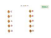 冀教版九年級上冊數學課件 期末復習專題練 專題2　一元二次方程