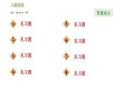 人教版九年级上册数学课件 第24章 集训课堂 素养训练 构造圆的基本性质的基本图形的八大技法