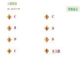 人教版九年级上册数学课件 第24章 24.1.3目标一　圆心角及其性质