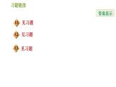 滬科版九年級(jí)上冊數(shù)學(xué)課件 期末提分練案 第2課時(shí)　反比例函數(shù)的圖象和性質(zhì)