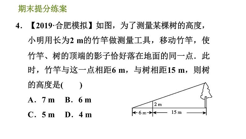 沪科版九年级上册数学课件 期末提分练案 第6课时　相似图形与相似三角形的应用第8页