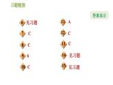 沪科版九年级上册数学课件 第23章 23.2.1  解直角三角形