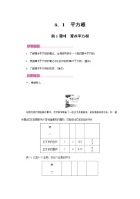 初中数学人教版七年级下册6.1 平方根教案