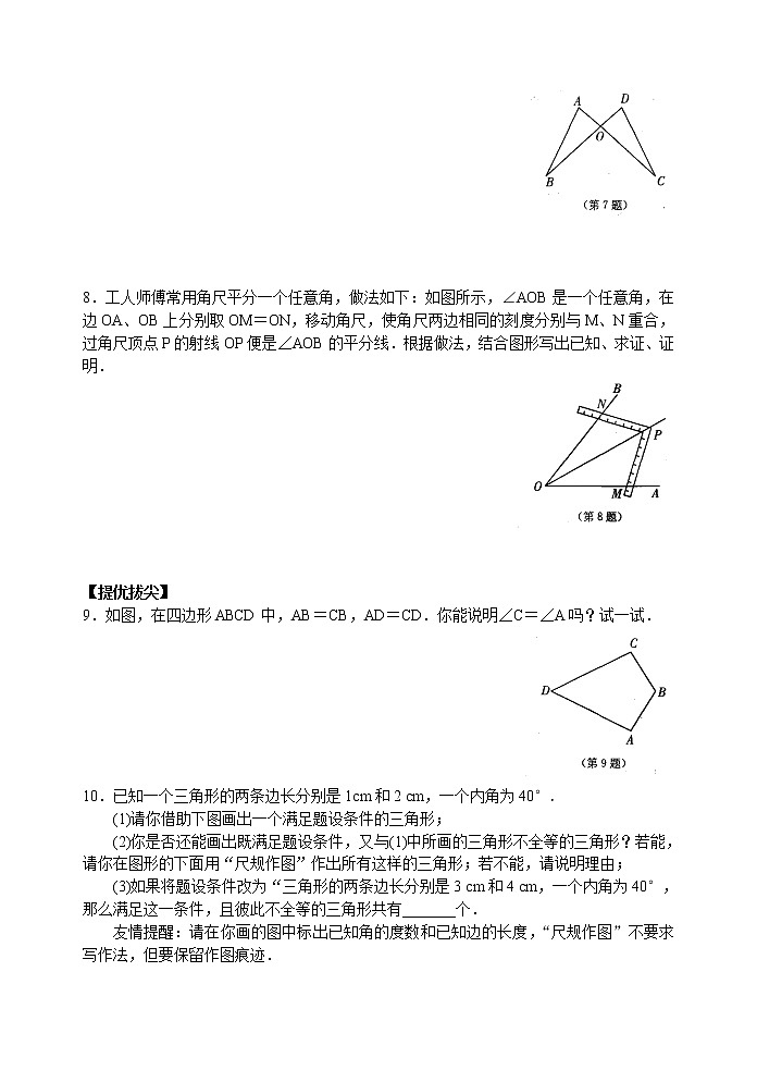 北师大版七年级下册数学《全等三角形》探索三角形全等的条件(3)学案02