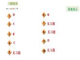 人教版数学七年级下册  3.2  《巧用实数及相关概念的定义解题》训练课件（含答案）